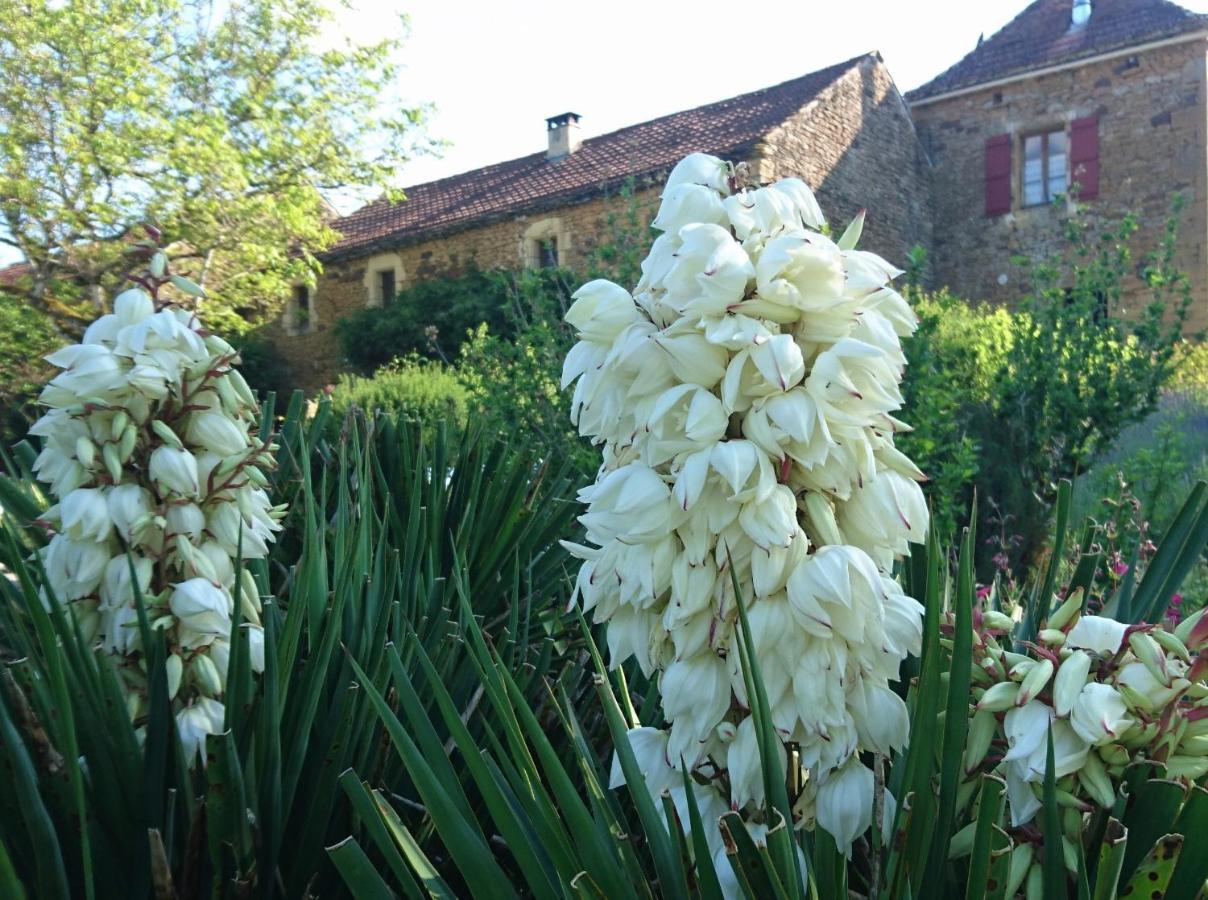 La Libellule And Le Papillon Gites At Les Leroux, Near Frayssinet-Le-Gelat Exterior photo